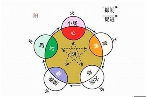 燕五行|燕字的五行属性